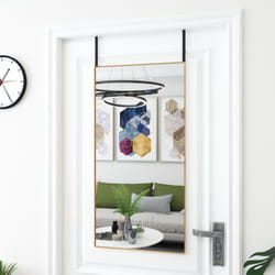 vidaXL Miroir de porte Doré 50x100 cm Verre et aluminium - TU