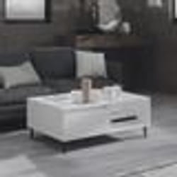 vidaXL Table basse blanc 90x60x35 cm bois d'ingénierie - TU