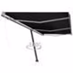 vidaXL Auvent automatique sur pied 600x300 cm Anthracite