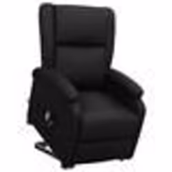 vidaXL Fauteuil Noir Similicuir - TU