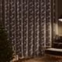 vidaXL Rideaux lumineux à LED 3x3 m 300 LED Blanc froid 8 fonctions - TU
