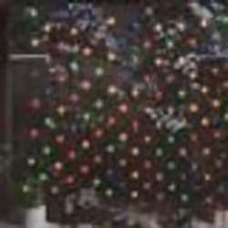 vidaXL Filet lumineux coloré de Noël 4x4 m 544 LED Intérieur/extérieur - TU