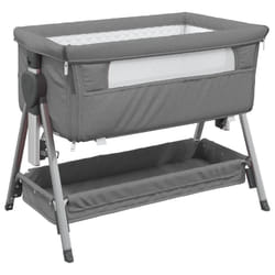 VidaXL 10290 Lit pour enfant Gris Fer