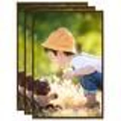 vidaXL Collage de cadres photo 3 pcs de mur table Bronze 59,4x84cm MDF - TU