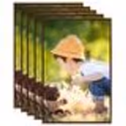 vidaXL Collage de cadres photo 5 pcs de mur table Bronze 59,4x84cm MDF - TU