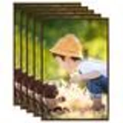 vidaXL Collage de cadres photo 5 pcs de mur table Bronze 59,4x84cm MDF - TU