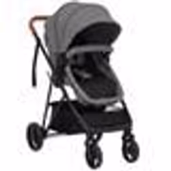 vidaXL Poussette pour bébé 2-en-1 Gris clair et noir Acier