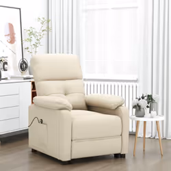 VidaXL 3073811 fauteuil