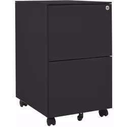 Cette armoire de bureau, avec un design de meuble de classement typique, est idéale pour le stockage de fichiers. Cette armoi ...