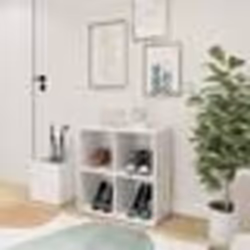 vidaXL Armoire à chaussures d'entrée blanc bois d'ingénierie - TU