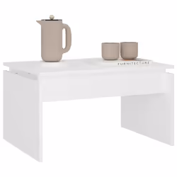 VidaXL 808332 Table à café, latérale et de salon