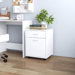 Cette armoire de rangement présente un design élégant et moderne, ce qui en fait un supplément attrayant et pratique à votre ...