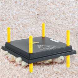 Vidaxl - Plaque chauffante pour poussins et canetons 30x30 cm