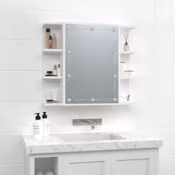 VidaXL 808873 miroir de salle de bain et armoire de rangement pour évier