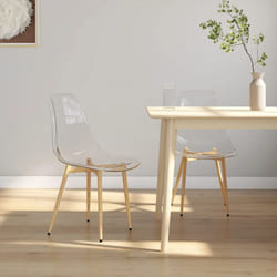 Vidaxl - Chaises à manger lot de 2 Transparent pet