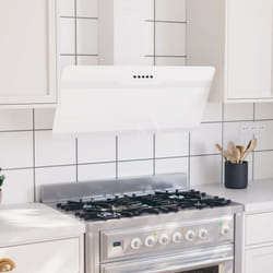Vidaxl - Hotte murale 90 cm Acier et verre trempé Blanc
