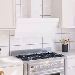 VidaXL Hotte murale 90 cm Acier et verre trempé Blanc