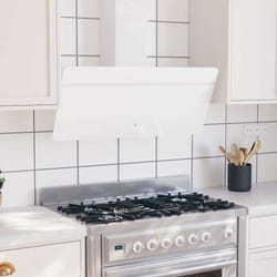 VidaXL Hotte murale 90 cm Acier et verre trempé Blanc