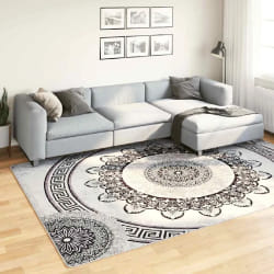 vidaXL Tapis lavable antidérapant 190x300 cm multicolore - TU