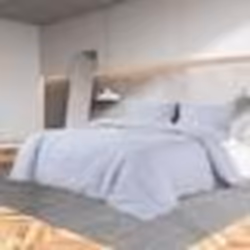 vidaXL Ensemble de housse de couette Gris 200x220 cm Microfibre légère - 200 x 220 cm