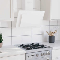 Vidaxl - Hotte murale 60 cm Acier inoxydable et verre trempé Blanc