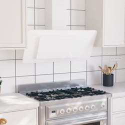 Vidaxl - Hotte murale 90 cm Acier inoxydable et verre trempé Blanc