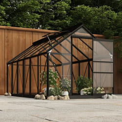 vidaXL Serre en verre Anthracite 155x298x191 cm Aluminium - TU