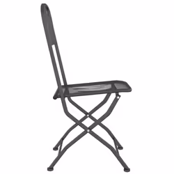 VidaXL 317339 chaise d'extérieur Terrace Métal Anthracite - Vue supplémentaire 5
