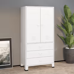 Cette armoire en métal rend vos vêtements ou vos accessoires quotidiens faciles d'accès. Elle offrira une solution de rangeme ...