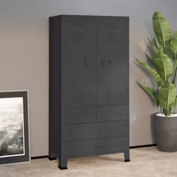 Cette armoire en métal rend vos vêtements ou vos accessoires quotidiens faciles d'accès. Elle offrira une solution de rangeme ...