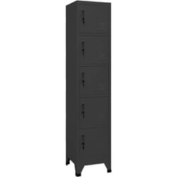 Armoire en acier avec 5 compartiments équipés de clés différentes couleurs Couleur : Anthracite