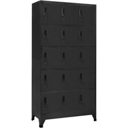 Armoire de verrouillage en acier avec 15 compartiments avec clés différentes couleurs Couleur : Anthracite