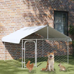Vidaxl - Chenil extérieur avec toit 200x200x150 cm