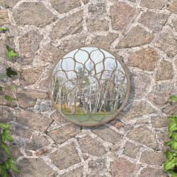 vidaXL Miroir de jardin Sable - Fer - 60 cm