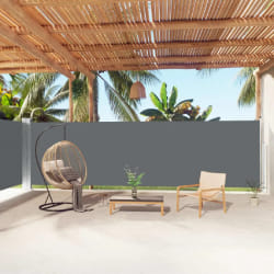 vidaXL Auvent latéral rétractable Anthracite 180x1000 cm - TU
