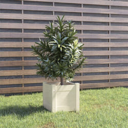 Vidaxl - Jardinière d'extérieur Blanc 31x31x31 cm Bois de pin massif