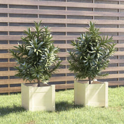 Vidaxl - Jardinières 2 pcs Blanc 31x31x31 cm Bois de pin massif