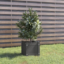 Vidaxl - Jardinière d'extérieur Gris 31x31x31 cm Bois de pin massif