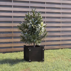 Remplie de vos plantes et fleurs, cette jardinière en bois est un accroche-regard absolu. C'est un choix idéal pour les amate ...