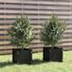 vidaXL Jardinières d'extérieur 2 pcs Noir 31x31x31 cm Bois de pin - TU
