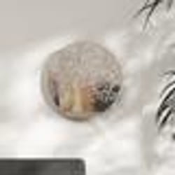 vidaXL Miroir Sable 40x2,5 cm Fer pour utilisation à l'intérieur - TU