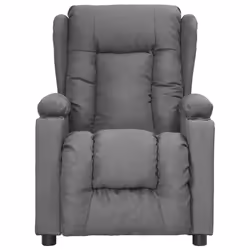 VidaXL 3093423 fauteuil