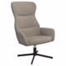vidaXL Chaise de relaxation Gris clair Velours - TU