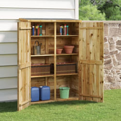 Vidaxl - Abri à outils de jardin 123x45x171 cm Bois de pin imprégné