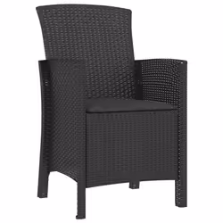 VidaXL 318229 chaise d'extérieur Terrace Siège rembourré Polyéthylène, Rotin Gris