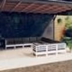 vidaXL Salon de jardin 11 pcs avec coussins blanc bois de pin