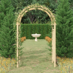 Vidaxl - Arche avec treillis 141x97x243 cm Bois de pin massif imprégné