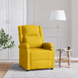 VidaXL 342746 fauteuil