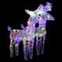 vidaXL Rennes de Noël 2 pcs 80 LED Multicolore Acrylique - TU
