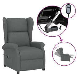 VidaXL 3098320 fauteuil